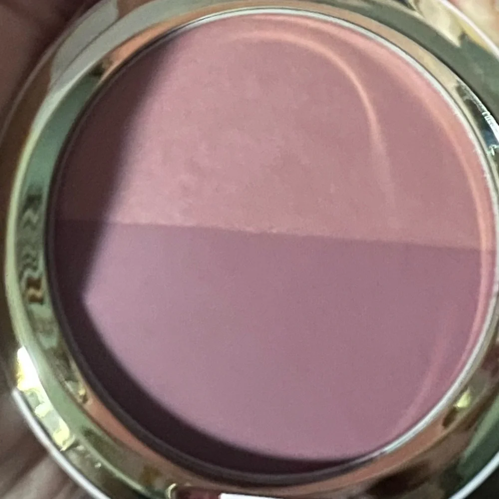 NWT MAC Patrick Star Take Me Home Cosmetics Blush Duo